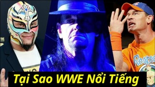 Tại Sao Nhiều Người Vẫn Xem WWE Dù Biết Nó Fake