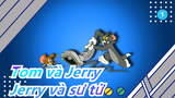 [Tom và Jerry] Xem Tom và Jerry ibằng cách khác có lẽ là tận hưởng - Jerry và sư tử_B1