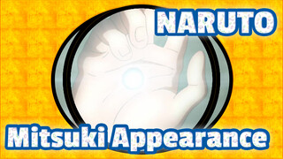 NARUTO|Mitsuki 205 Appearance Scene