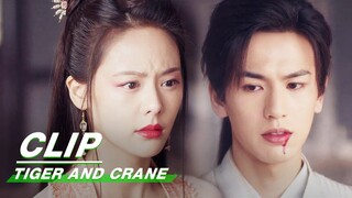 Mudan Died to Save Qi Xiaoxuan | Tiger and Crane EP11 | 虎鹤妖师录 | iQIYI