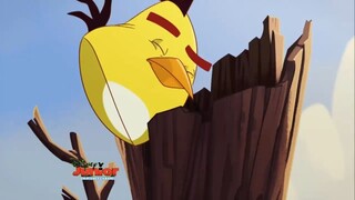 Angry Birds on Disney Junior on Disney Channel (July 18th, 2015)