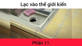 Lạc vào thế giới kiến p11