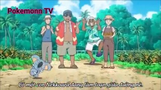 Pokemon Sun & Moon (Ep 56.1) Nekkoara suốt ngày ngủ #PokemonSun&Moon