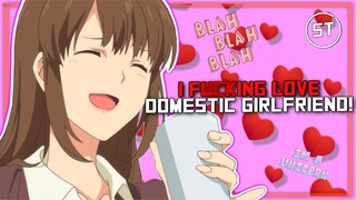 A Love Letter To Domestic Girlfriend