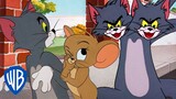 Tom y Jerry en Latino | Lo mejor del gato Tom 🐱💙 | @WBKidsLatino