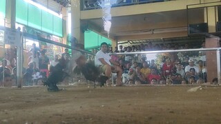 LILIW LAGUNA VS LUISIANA LAGUNA 🐓 (KISKISAN)