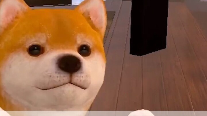 VR dog licking: wouldn't you say no to a cute puppy?