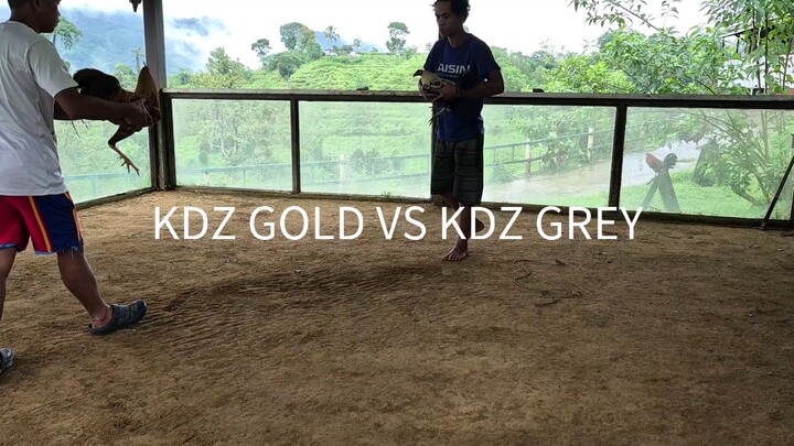 KDZ GF SPAR#AngatSarado #SaltoFeeds #SubokNaMagaling #TatakExcellence #ExcellenceInAction