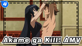 [Akame ga Kill! AMV] Epic / Sad / Hug Akame And Go Away Secretly~_4