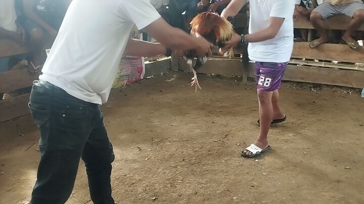2nd fight mahawan-hawan pula samin 2 wins😍🏆