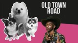 Old Town Road but it's Doggos and Gabe