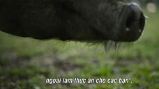 Động Vật Ăn Tạp - Omnivore EP 5 [Sub Việt]