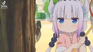 Kanna Kamui so cute