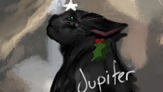 jupiter was meant to be a star — hollyleaf pmv - warriors￼