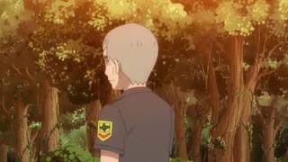 Pokemon Sun & Moon - 74