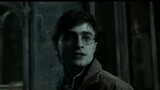 [Inventory] Watch "Harry Potter" 100 times just to find these 100 million Easter eggs!丨Leewenhoek 16