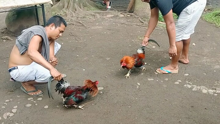 Yung naka topless nag bitaw Ang atin dyan mga Paps #Spar excercise Muna sa kapit bahay