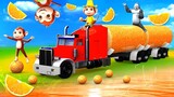 Funny Monkey and Gorilla Orange Truck in Forest New Animal Comedy Videos in Jungle 3D Fun Videos