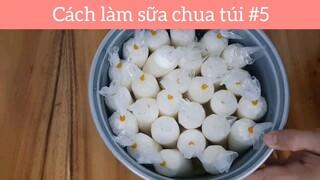 Cách làm sữa chua túi p5