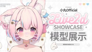 【Live2d模型展示】小猫也憧憬成为魔法少女！