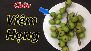 Mẹo chữa dứt điểm viêm họng tại nhà bằng quả sung, hiệu quả hơn cả thuốc tây ( chữa viêm họng )