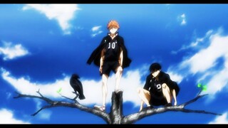 HAIKYUU // AMV // CHAMPIONS