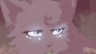 Warriors AMV - Butterfly Culture (CW: Flash) (By Silverwolfnyght)