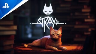 Stray - State of Play June 2022 Trailer | PS5 & PS4 Games