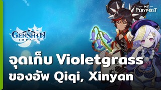 Genshin Impact จุดหาดอก Violetgrass ของอัพ Qiqi และ Xinyan