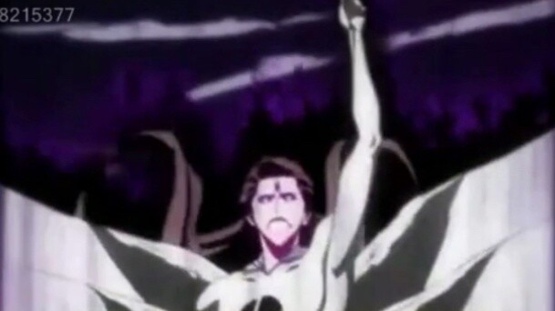 Aizen's broken path completely chants: The Ninety of Breaking the Path ~ Black Coffin! Cool!