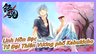 [Linh Hồn Bạc] Tứ Đại Thiên Vương phố Kabukicho Arc|Arc tôi thích nhất|'Some Like It Hot'