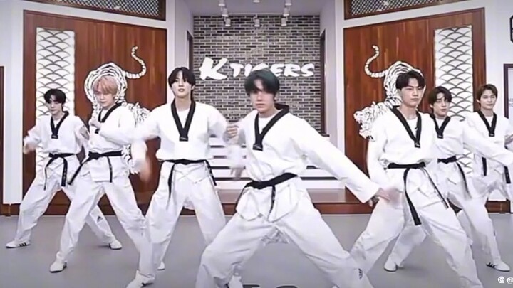 enhypen fever karate version