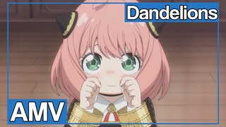 AMV SPY x FAMILY | Dandelions