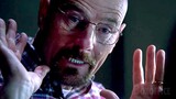 "You got me" (says Walter to Hank) | Breaking Bad | CLIP