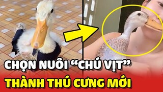 Cô gái chọn nuôi 1 CHÚ VỊT làm THÚ CƯNG siêu ĐÁNG YÊU 😍 | Yêu Lu