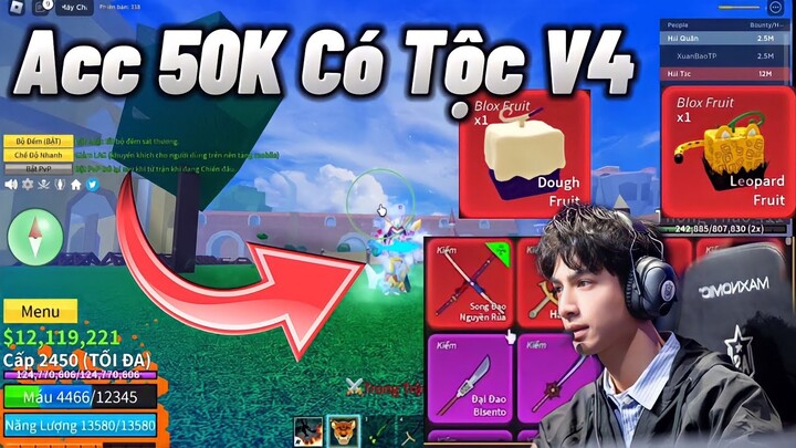 Roblox | Cách Sở Hữu Acc Blox Fruit Chỉ Với 50K Có Tộc V4, Leopard Và Mochi V2 Vĩnh Viễn