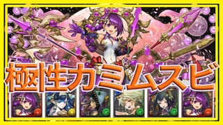 【パズドラ】極性カミムスビ使ってみた【5500万DL記念チャレンジ2】