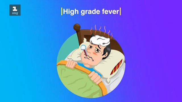 Dengue Symptoms