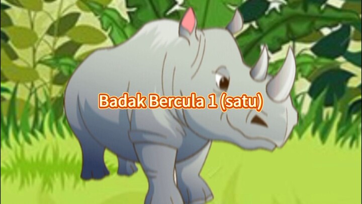 Badak Bercula 1 (satu)