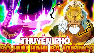 THUYỀN PHÓ SỠ HỮU HAKI BÁ VƯƠNG?! | NHỮNG THUYỀN VIÊN CÓ BÁ VƯƠNG MẠNH NHẤT?!