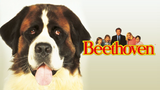 Beethoven 1992 1080p HD