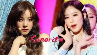 【纵享丝滑】大小姐绝美换装弗拉门戈舞！(G)I-DLE 《senorita》舞台一键换装混剪