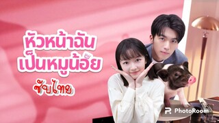 7.หัวหน้าฉันเป็นหมูน้อย