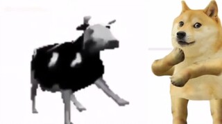 polish cow+doge