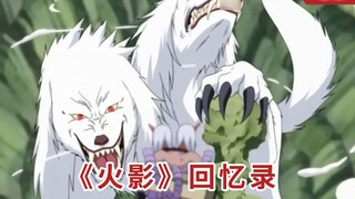 Memoar "Naruto" 030: Perpaduan Tertinggi! Inuzuka Kiba VS Kon Kiri dan Kanan