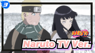 [Naruto] TV Ver. 10 The Last_3