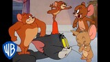 Tom i Jerry po polsku 🇵🇱 | Jerry na maksa 🐭 | WB Kids
