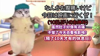 【熟肉】太小看阑尾炎导致紧急手术的故事 | 猫meme