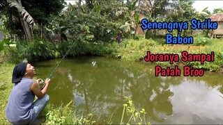 Mancing Ikan Lele Di Kolam || JORAN SAMPAI PATAH BROO!!