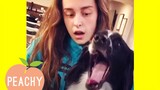 Why We Don't Deserve Dogs | Funny Animal Videos